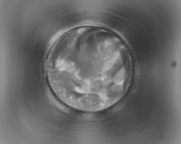 X0000111481371200908250951