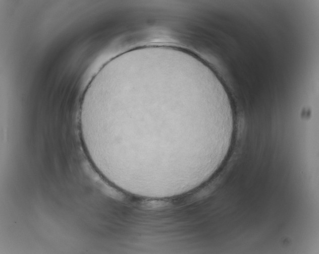X0000111481374200908250951
