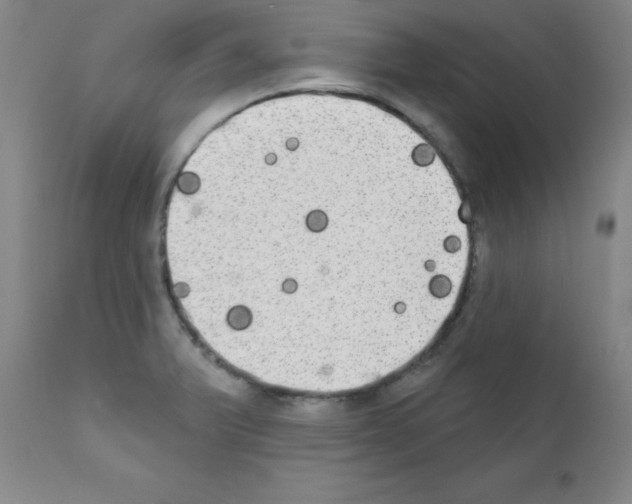 X0000111481375200908250950