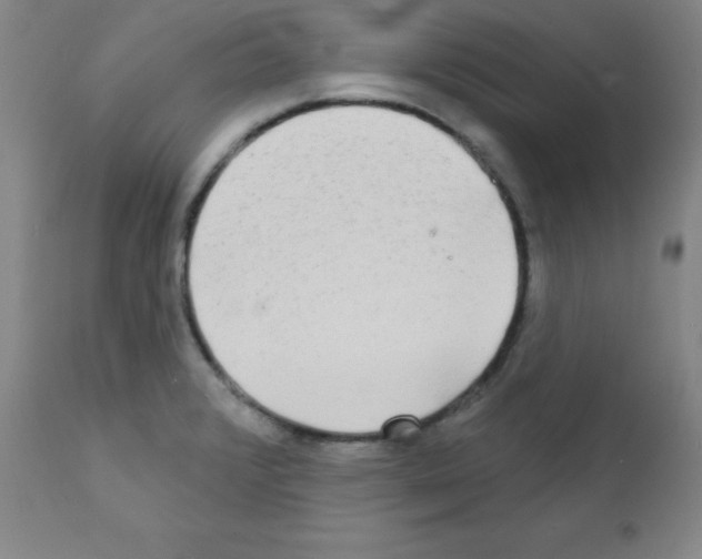 X0000111481376200908250950