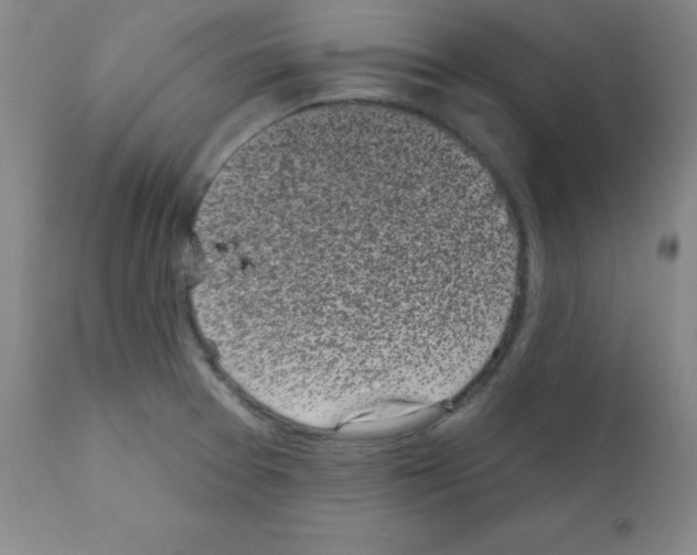 X0000111481377200908250950