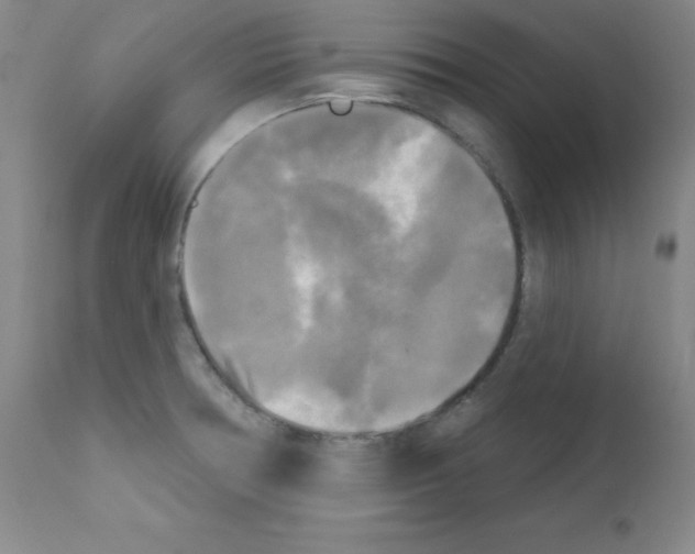 X0000111481378200908250950