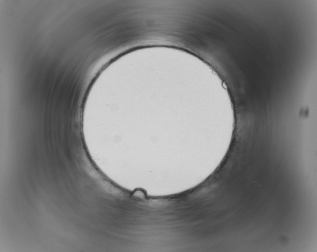 X0000111481380200908250950