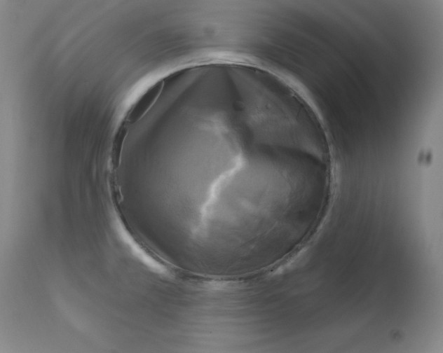 X0000111481381200908250950