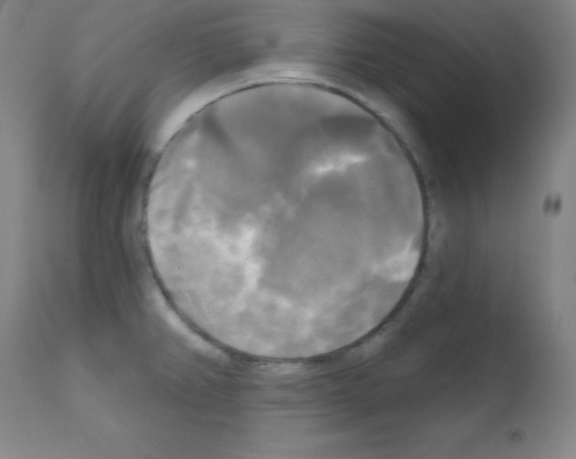 X0000111481382200908250950