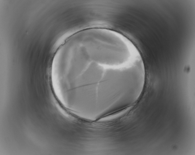 X0000111481383200908250950
