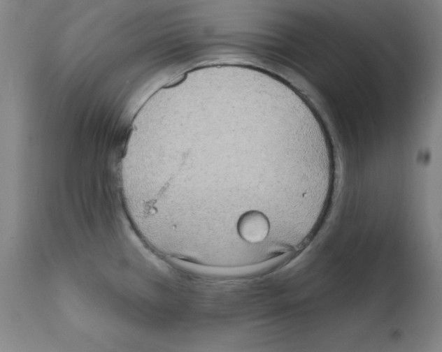 X0000111481385200908250950