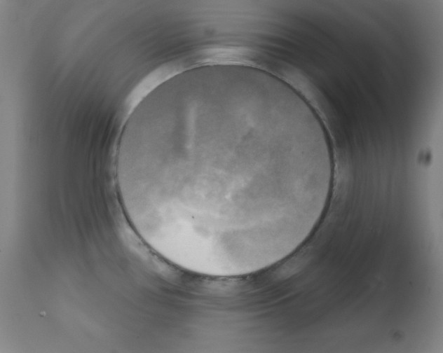 X0000111481386200908250950