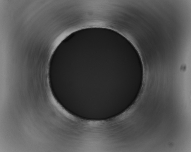 X0000111481389200908250950