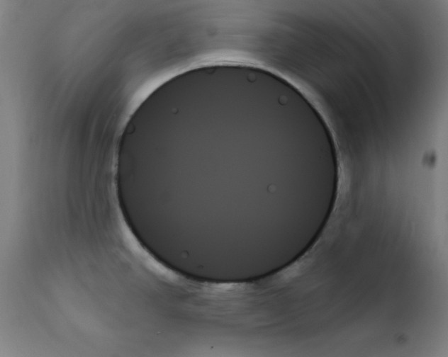 X0000111481390200908250950
