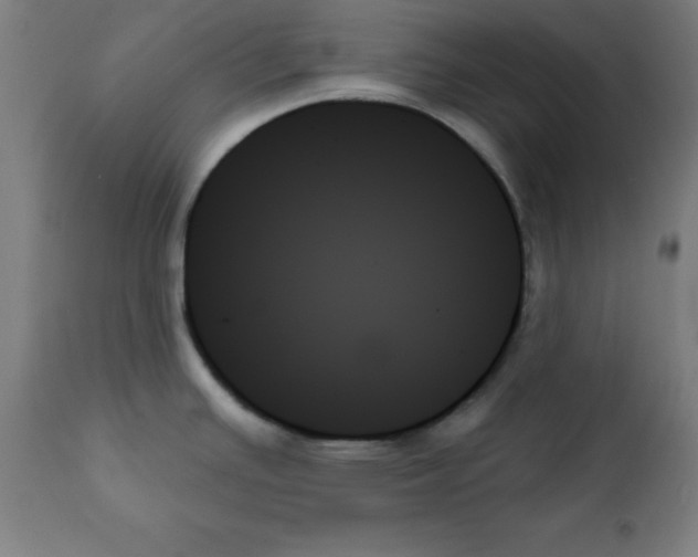 X0000111481391200908250950