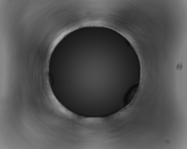 X0000111481392200908250950