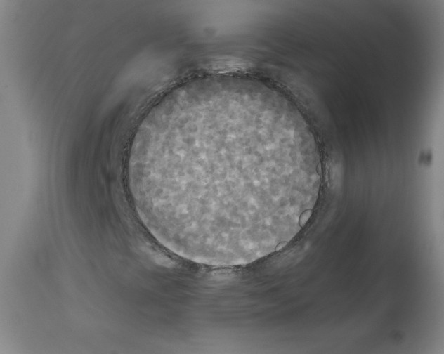 X0000111481393200908250949