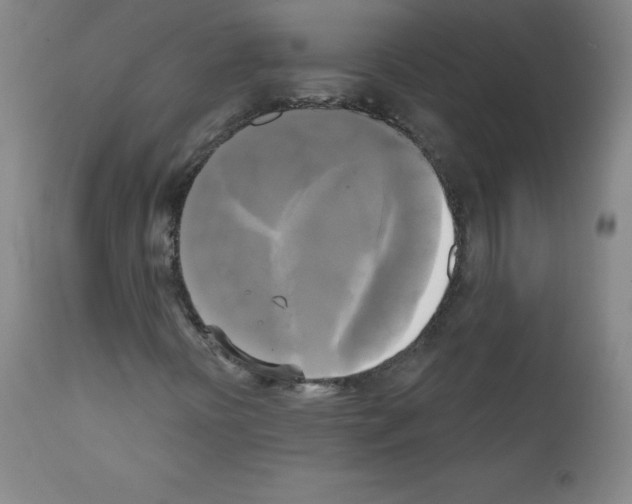 X0000111481394200908250949