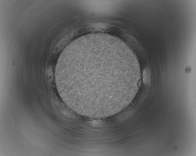 X0000111481395200908250949