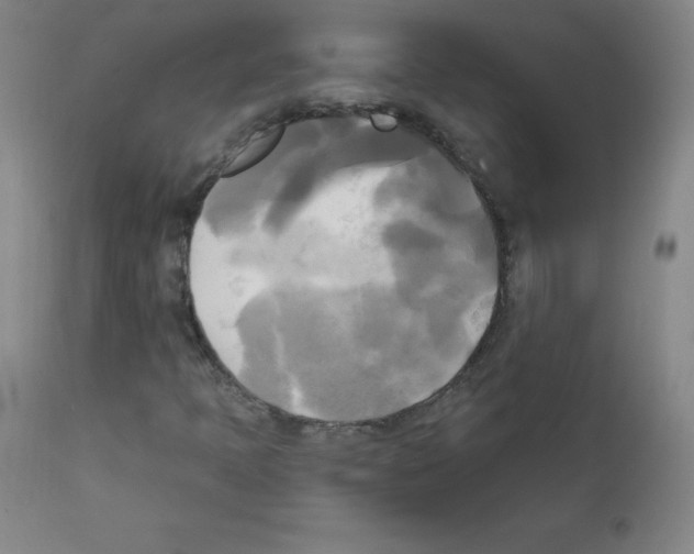 X0000111481397200908250949