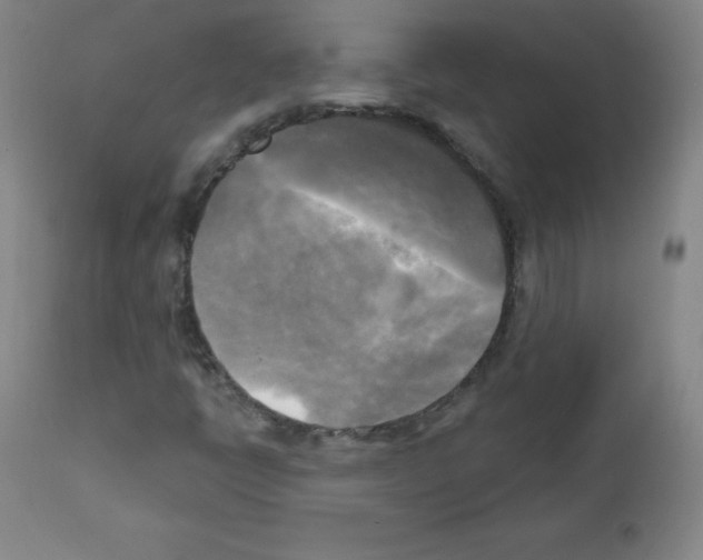 X0000111481398200908250949