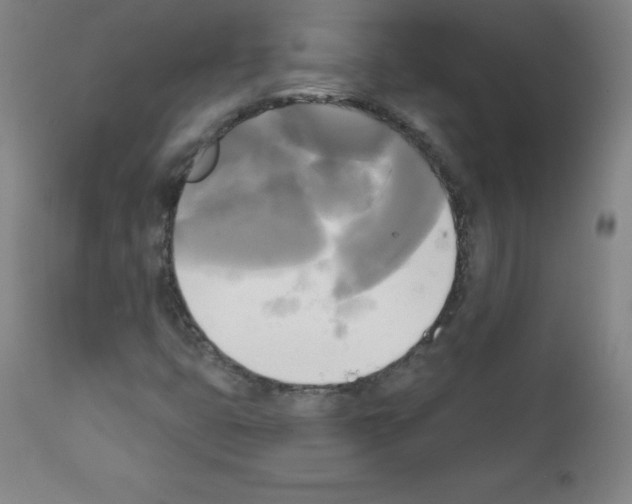 X0000111481399200908250950