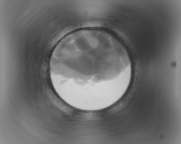 X0000111481401200908250950