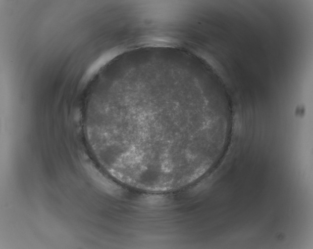 X0000111481402200908250950