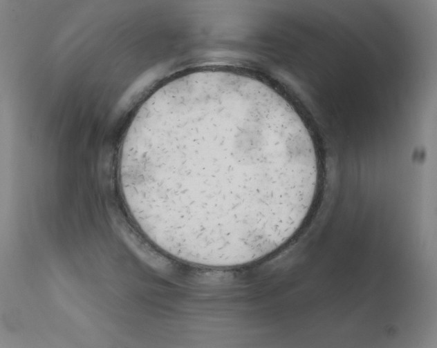 X0000111481403200908250950