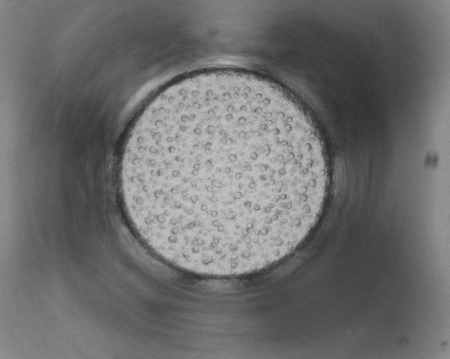 X0000111481404200908250950
