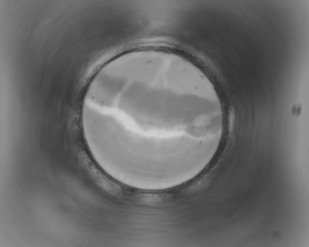 X0000111481405200908250950
