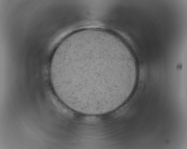 X0000111481407200908250950