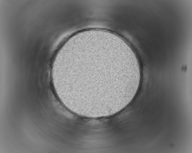 X0000111481408200908250950