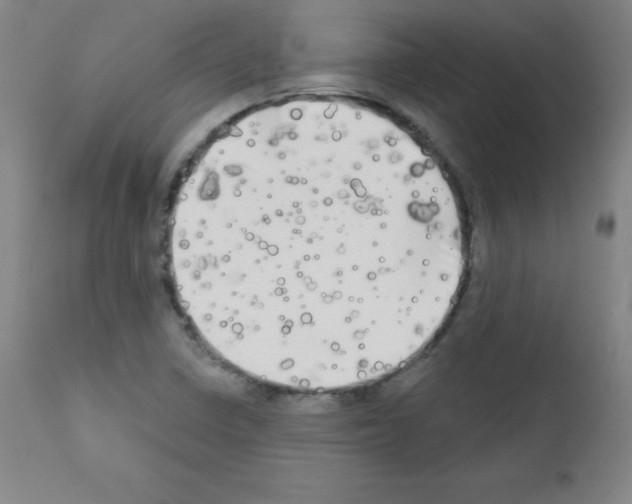 X0000111481410200908250950