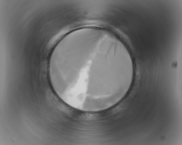 X0000111481411200908250950