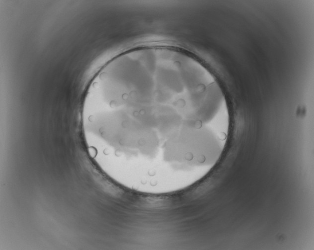 X0000111481413200908250950