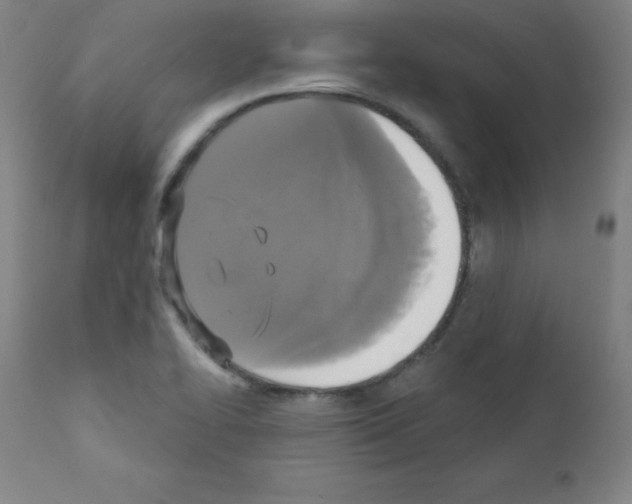 X0000111481414200908250950