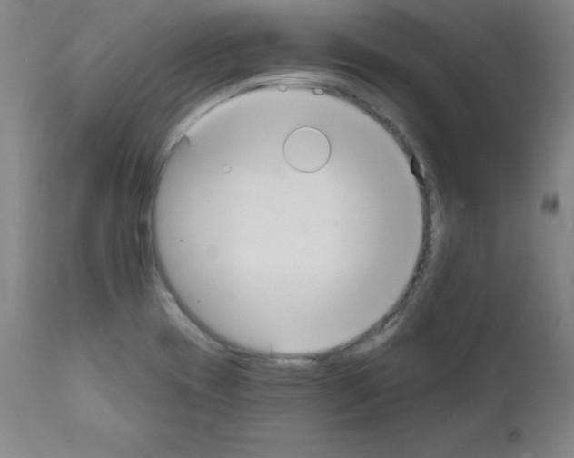 X0000111481417200908250950