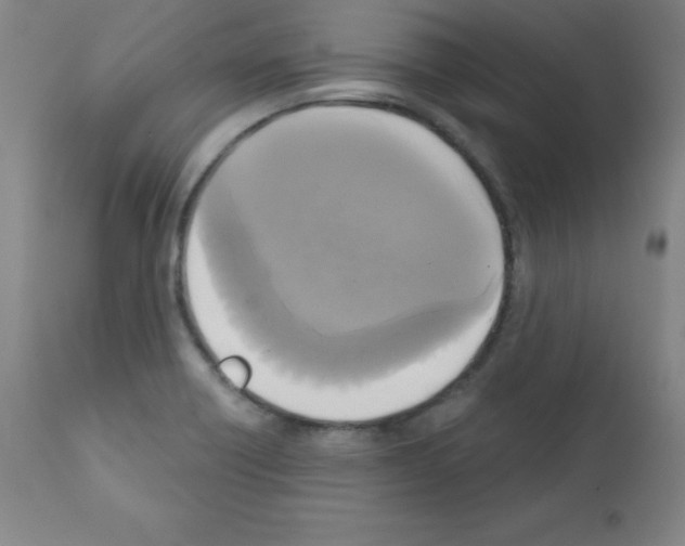 X0000111481418200908250950