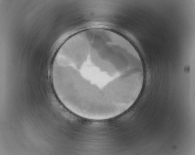 X0000111481419200908250950
