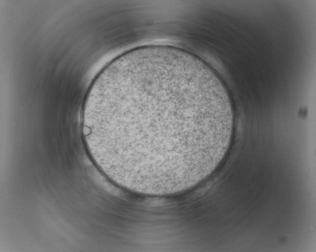 X0000111481420200908250950