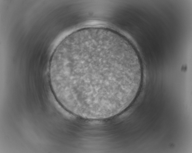 X0000111481421200908250950