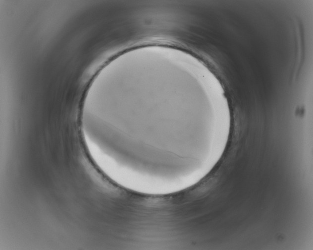 X0000111481422200908250950