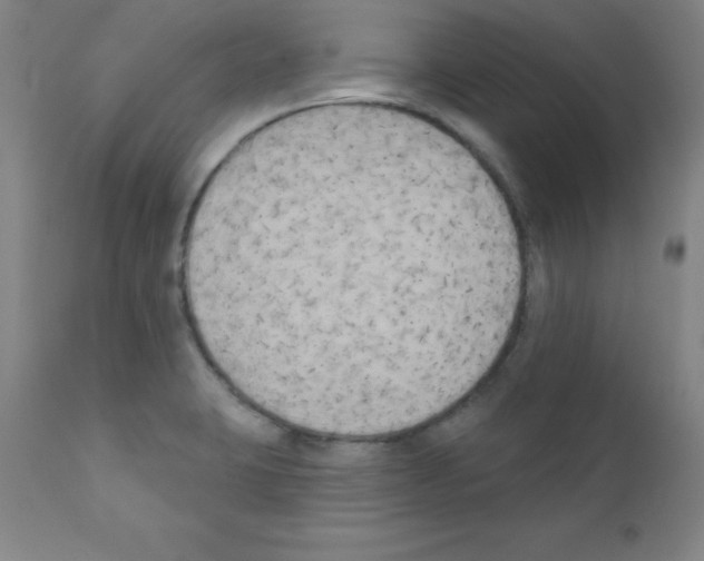 X0000111481423200908250950