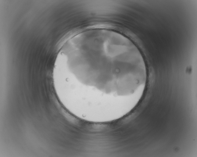 X0000111481425200908250950