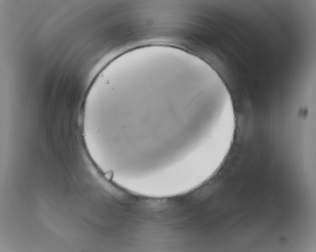 X0000111481428200908250950