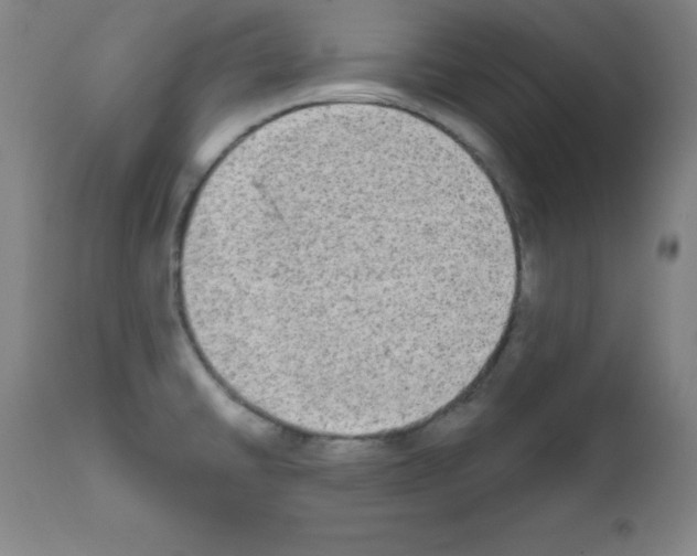 X0000111481430200908250950