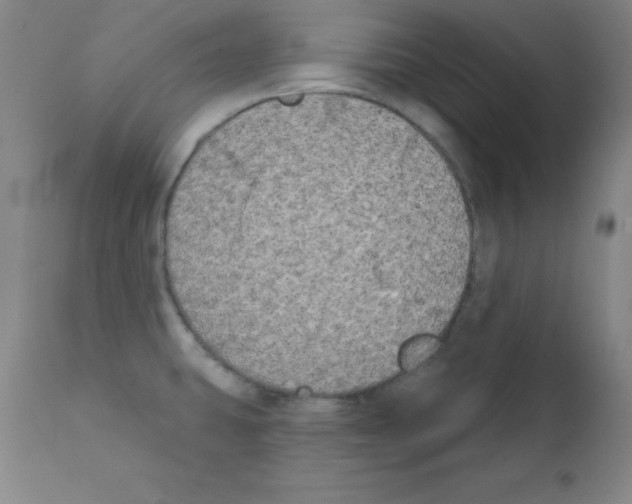 X0000111481431200908250950