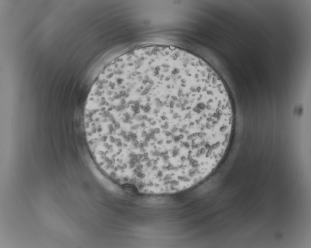 X0000111481433200908250950