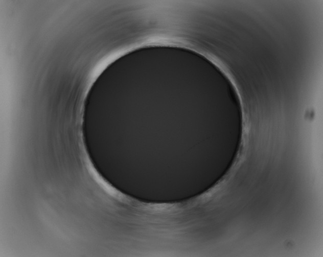 X0000111481437200908250950