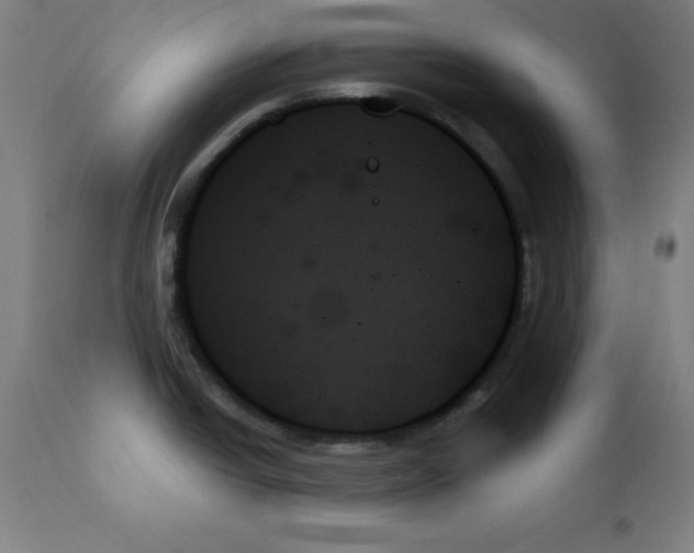 X0000111481438200908250950