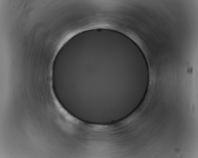 X0000111481439200908250950
