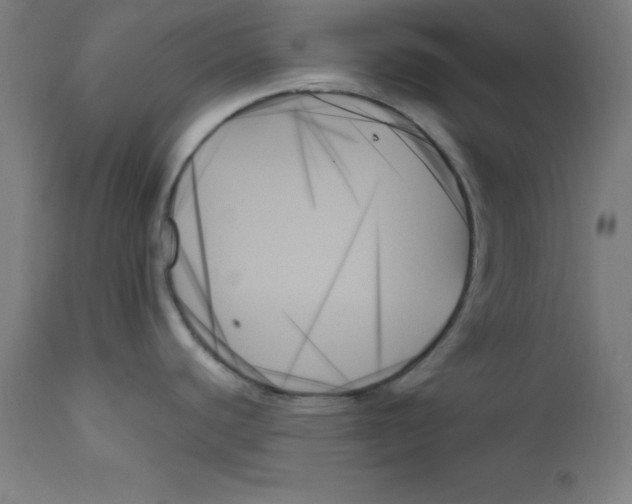 X0000111481440200908250950