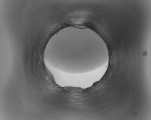 X0000111481441200908250949
